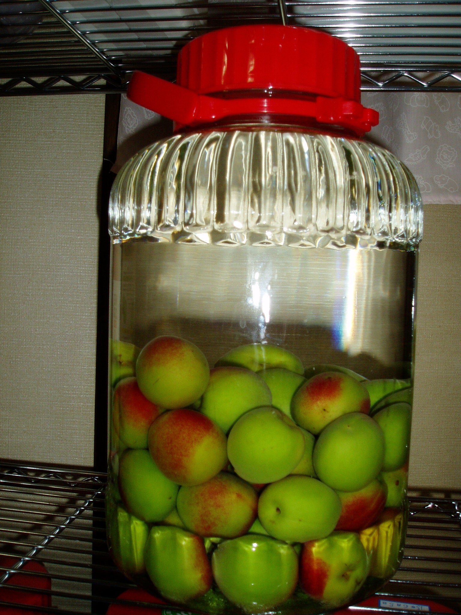 青梅到着しました