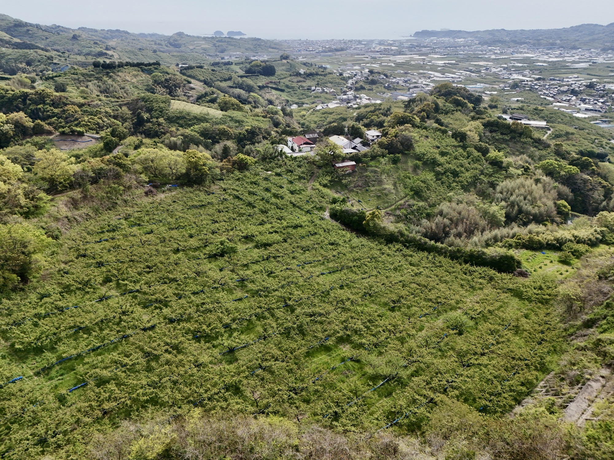 月向農園の全景