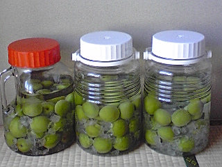 無事届きました