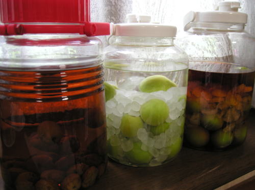 青梅くん到着です.