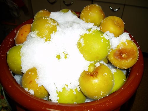 可愛い子達が来ましたヨッ!