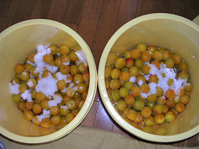 すご~く良い香り