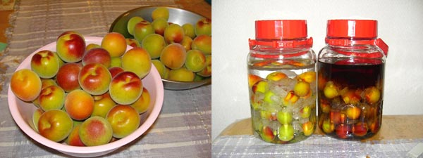 届いてびっくり!