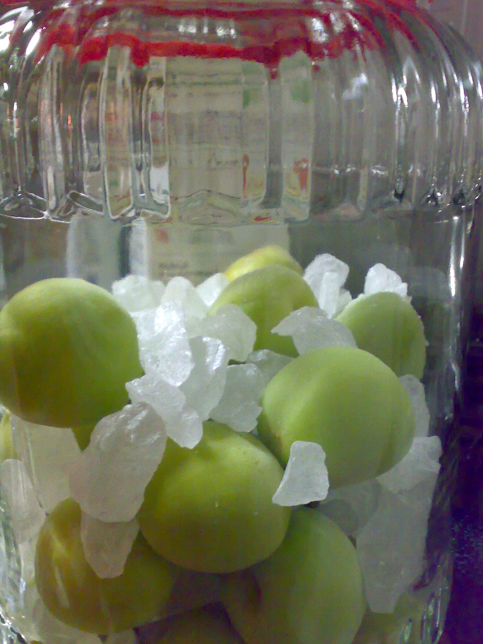 梅酒を漬けました♪