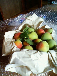 9時50分着きました!