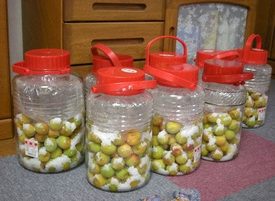 梅仕事 一段落・・・