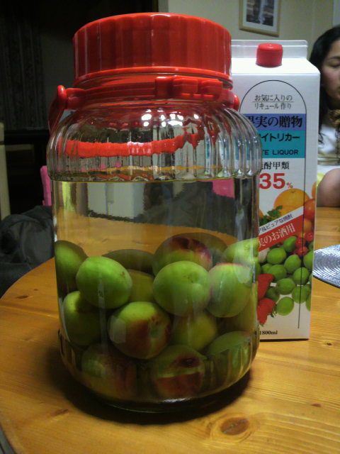 初めての梅仕事