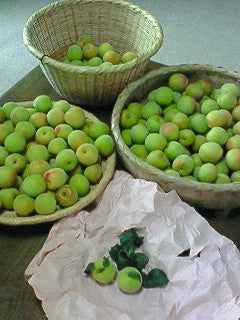 かわいい(*^^*)梅