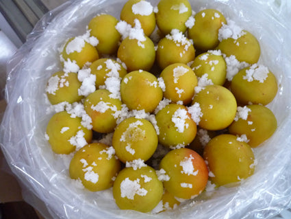 大きくてびっくり