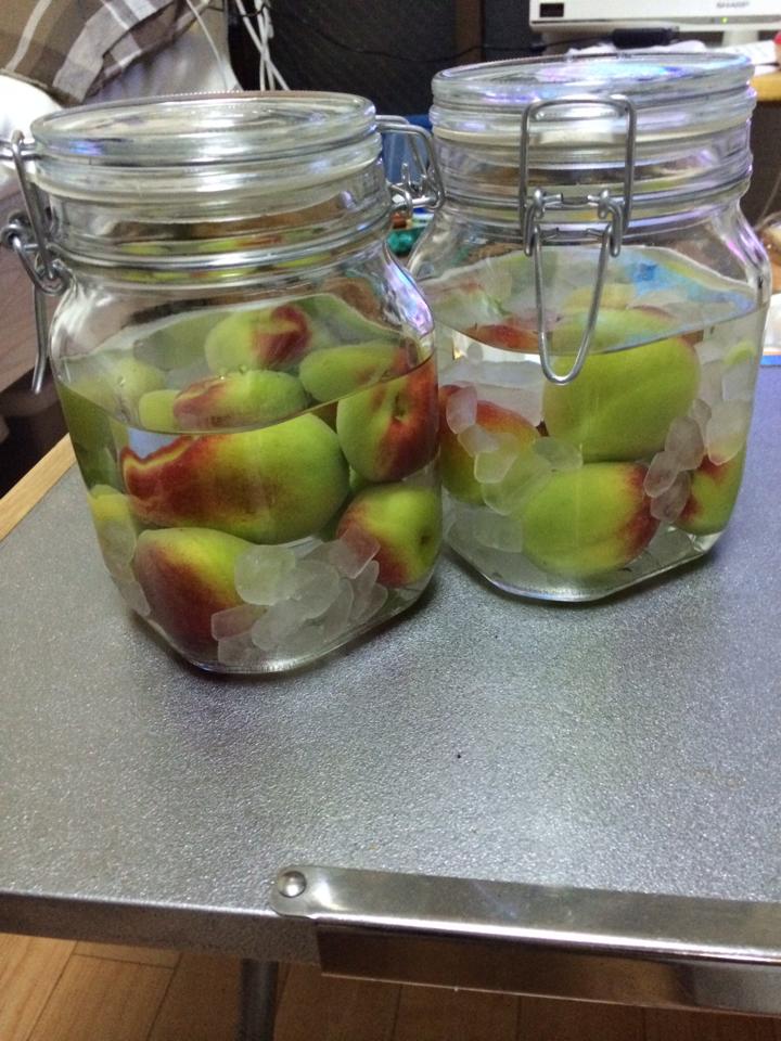 梅酒を作りました