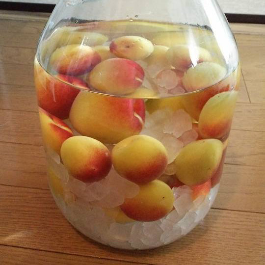 飲むのが楽しみです!