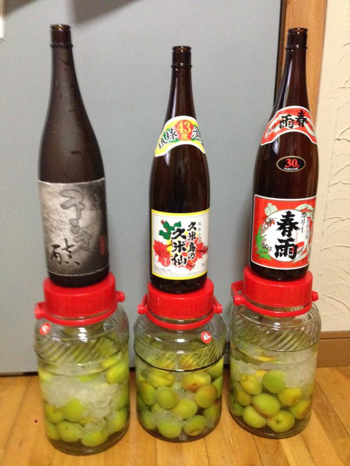美味しすぎる梅酒