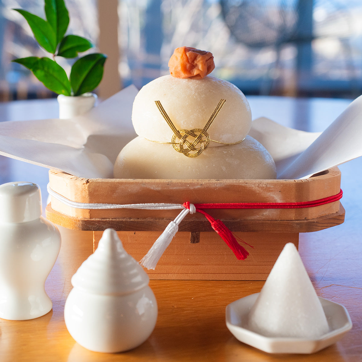 50-60cm目安　巨大ウラジロ　100枚目安+予備　鏡餅　しめ縄　正月飾り 限定一箱】正月用 巨大ウラジロ 100枚目安+予備 しめなわ 鏡餅 限定一