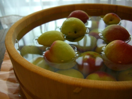 梅酒つくりました!