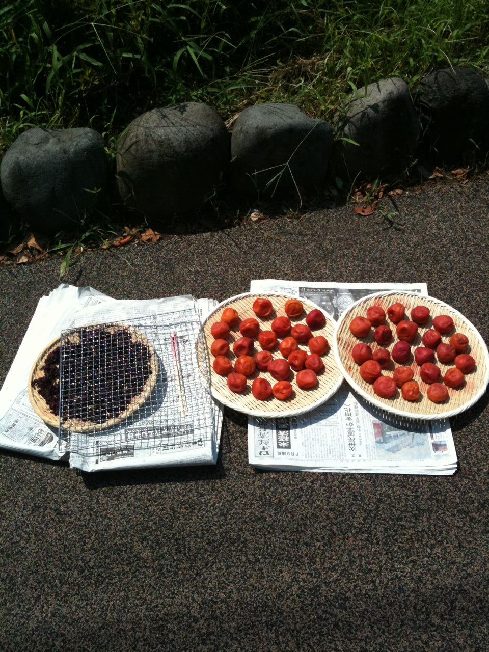 土用じゃないけど土曜なので