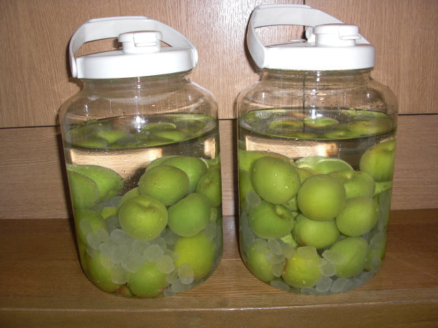 本日届きました!