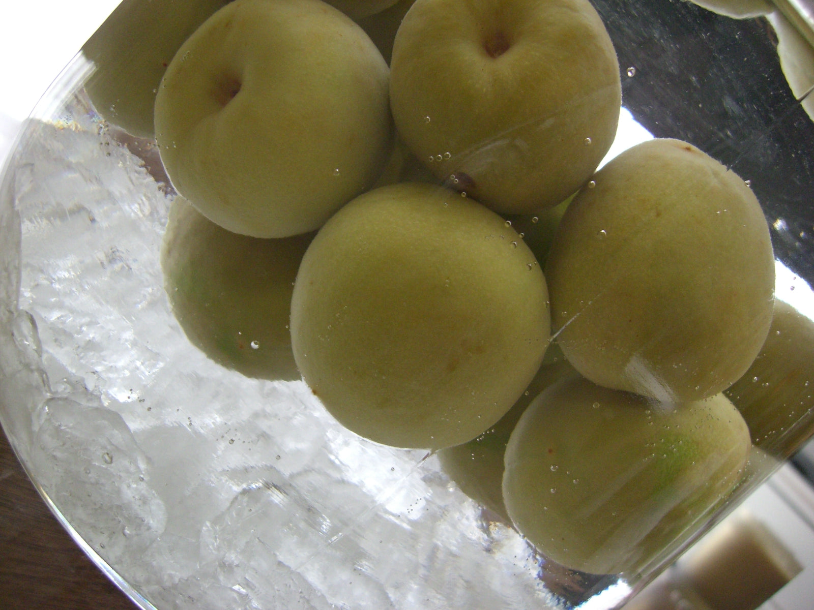 みんなの梅チャンネル