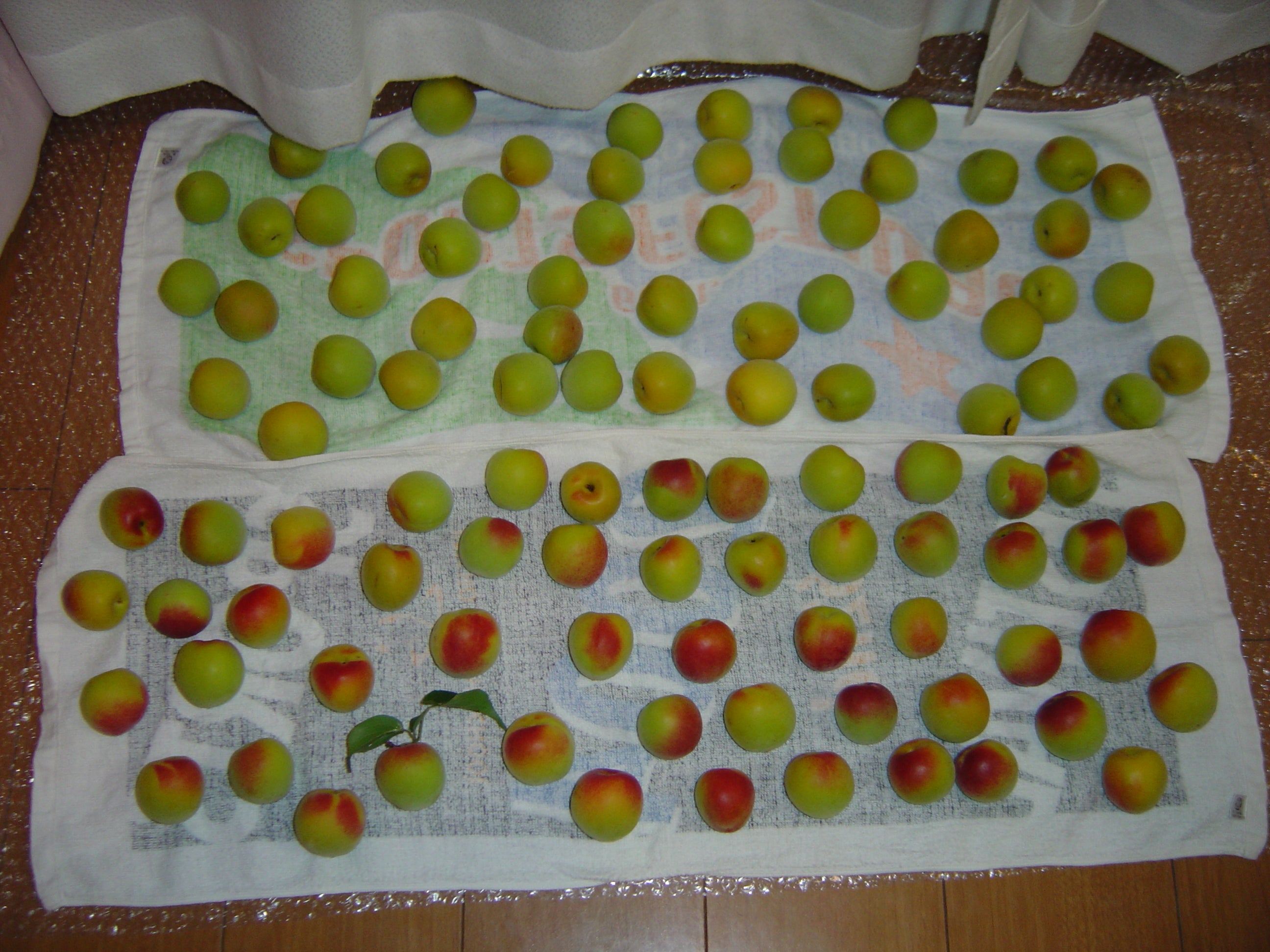 しあわせな時をありがとう