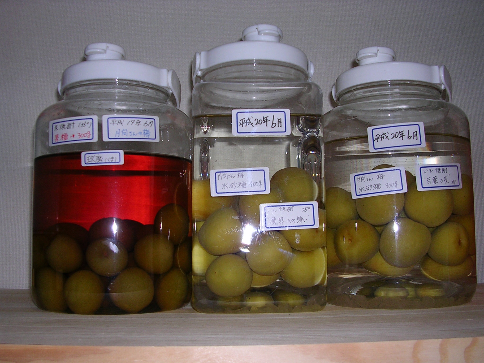 『でかっ!!』と一言