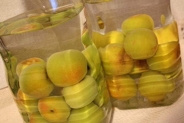 愛されて育ってきたんだなぁ