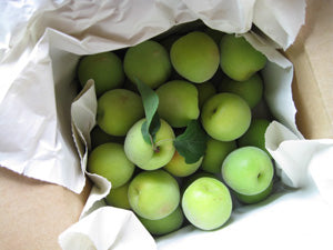 フレッシュ南高梅;到着しました