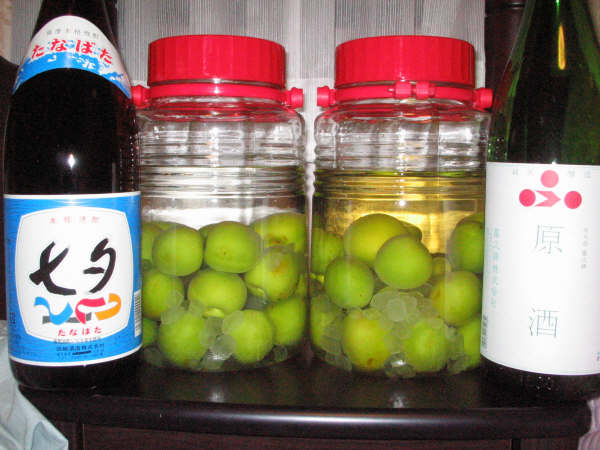 南高梅が届きました