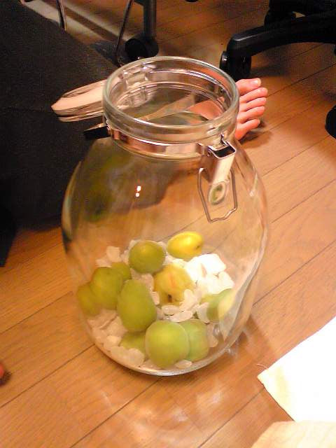 おはようございます!