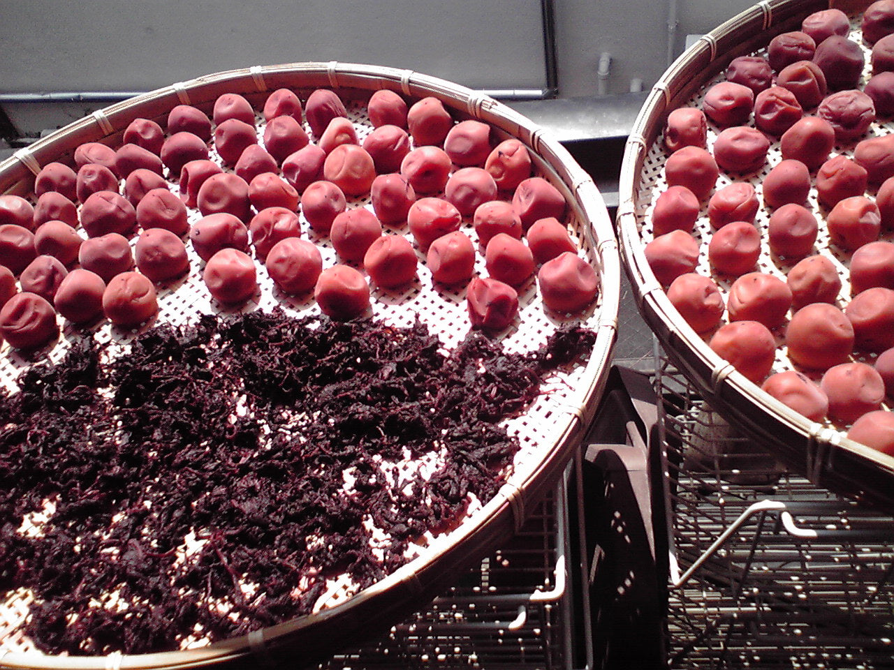 去年の梅干~天日干し