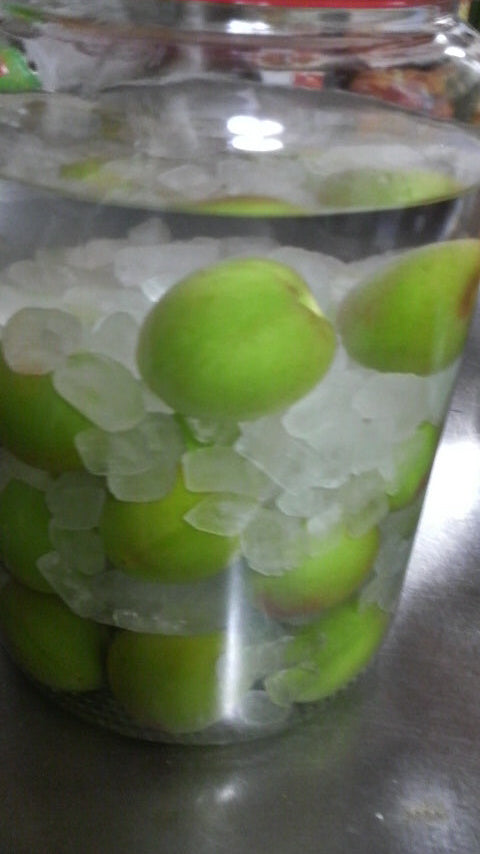 無事に到着しました!