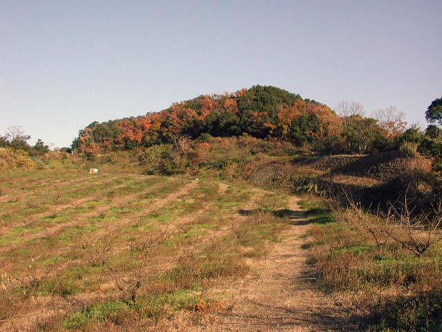 月向山の紅葉