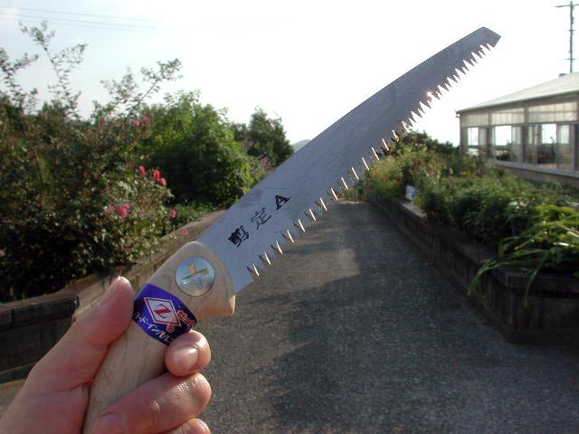 宿題