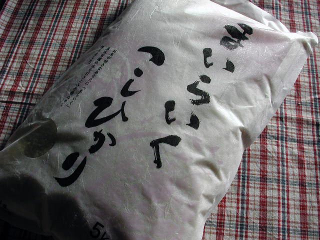 秋の味覚編 1