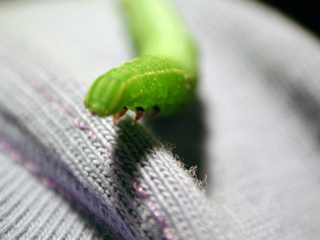 絶叫