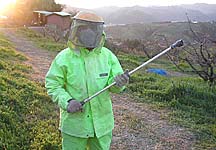 一回目の農薬散布