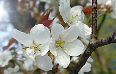 3月去る!