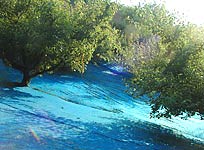 今日もネット敷きは続く・・・