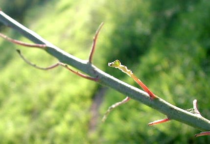 犯人は誰だ?
