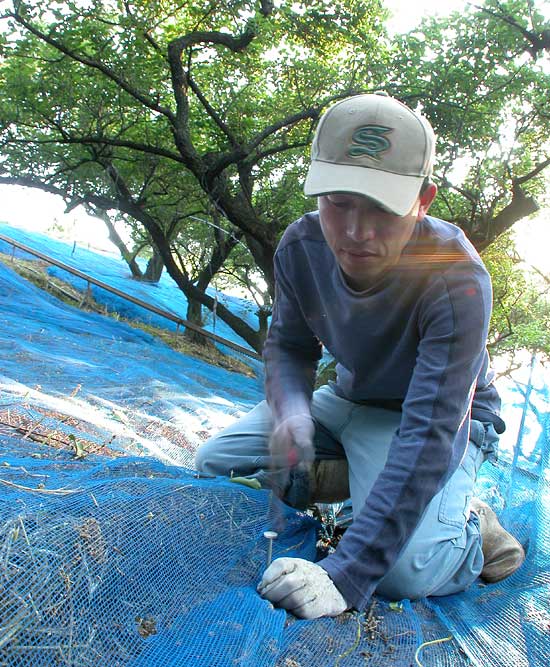 よそ見厳禁 打撲注意