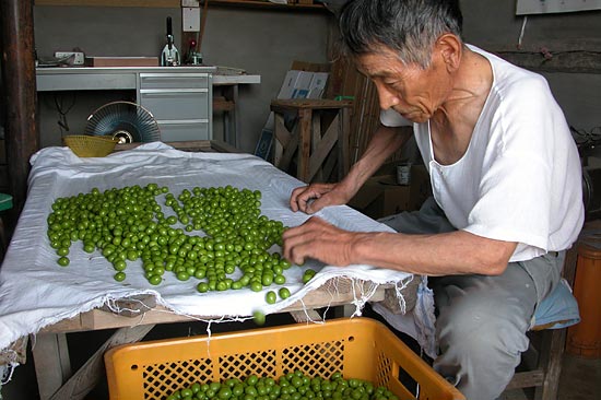 この島だけヨ!