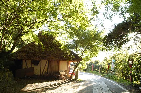 熊野通い