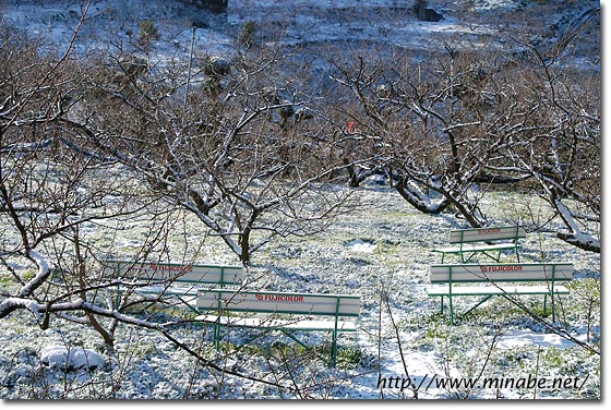 積雪1センチ