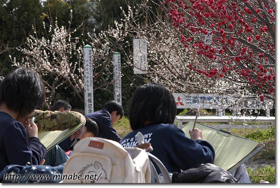 梅林写生大会