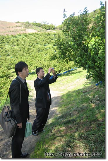 農薬会社からの取材