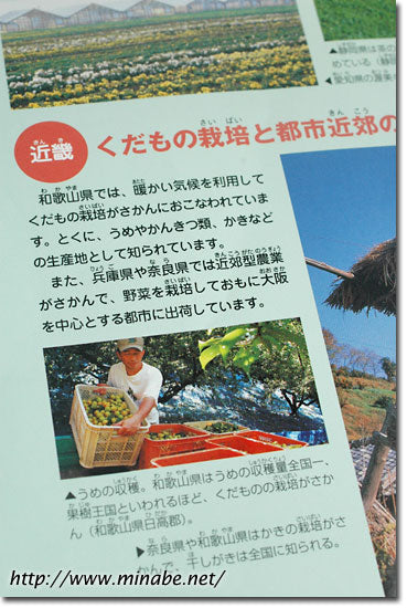 学習図鑑の注目点