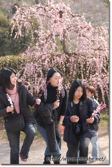 お花プレゼント