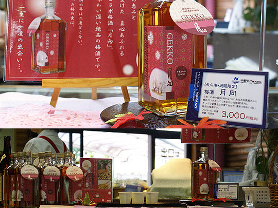 月向2008
