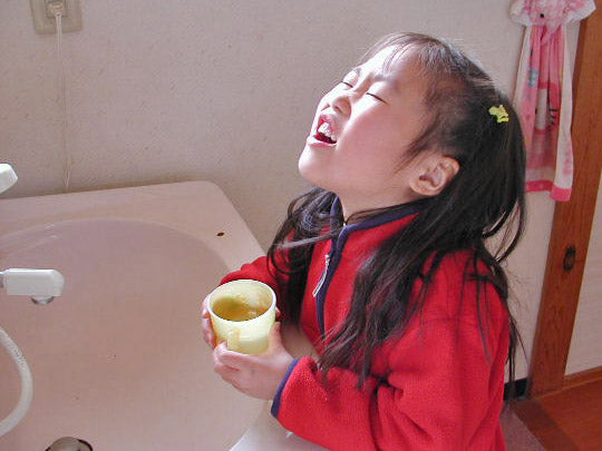 拝借