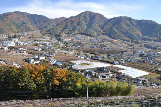 番外編