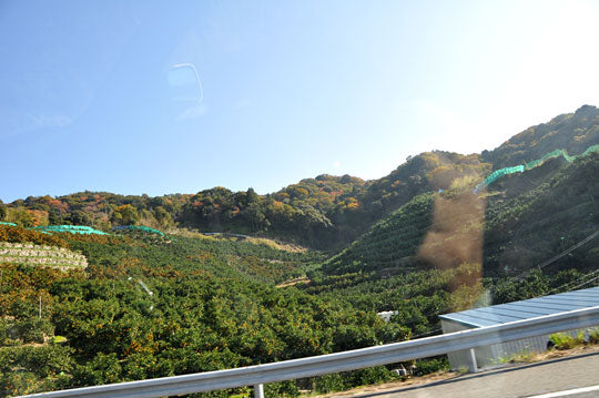 有田通過中