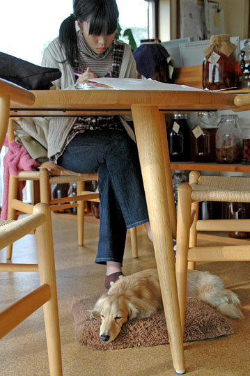 宿題とチョコの関係